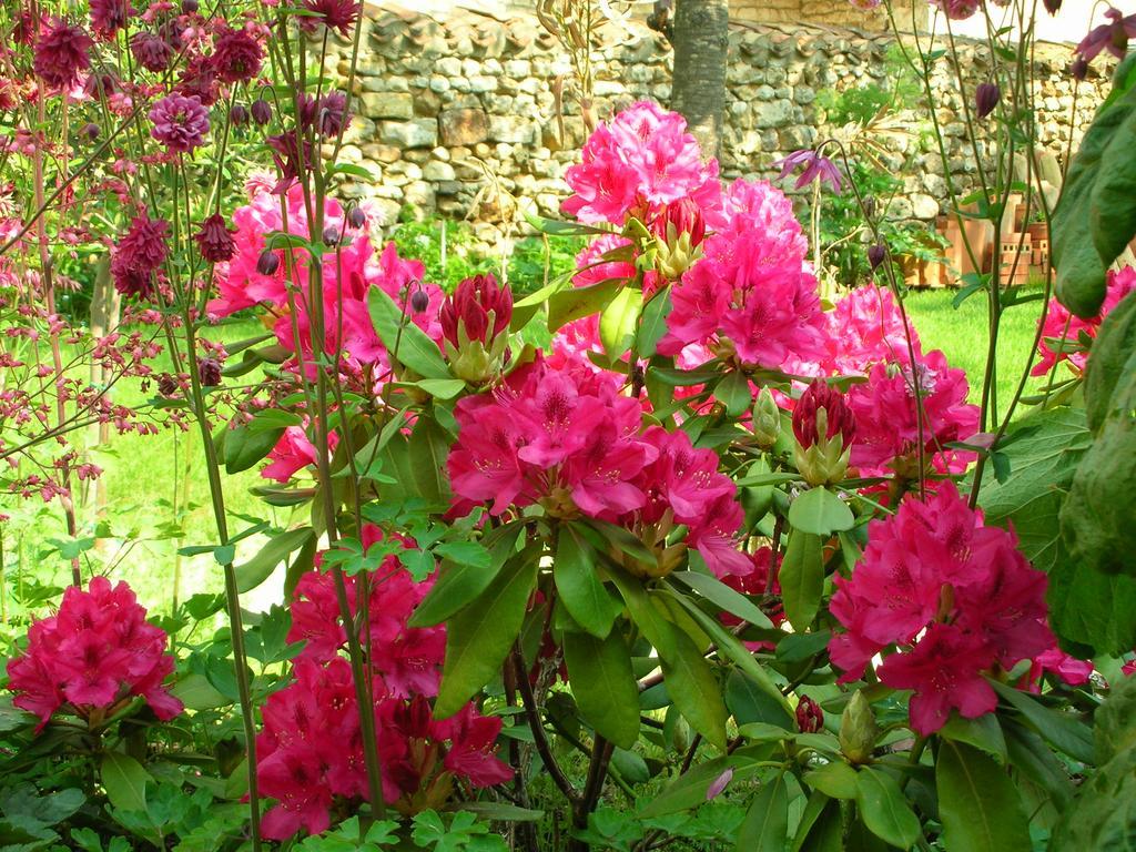 Bed and Breakfast Le Logis Du Four à Soudan  Extérieur photo
